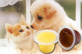 Pet Jelly - MG 3917